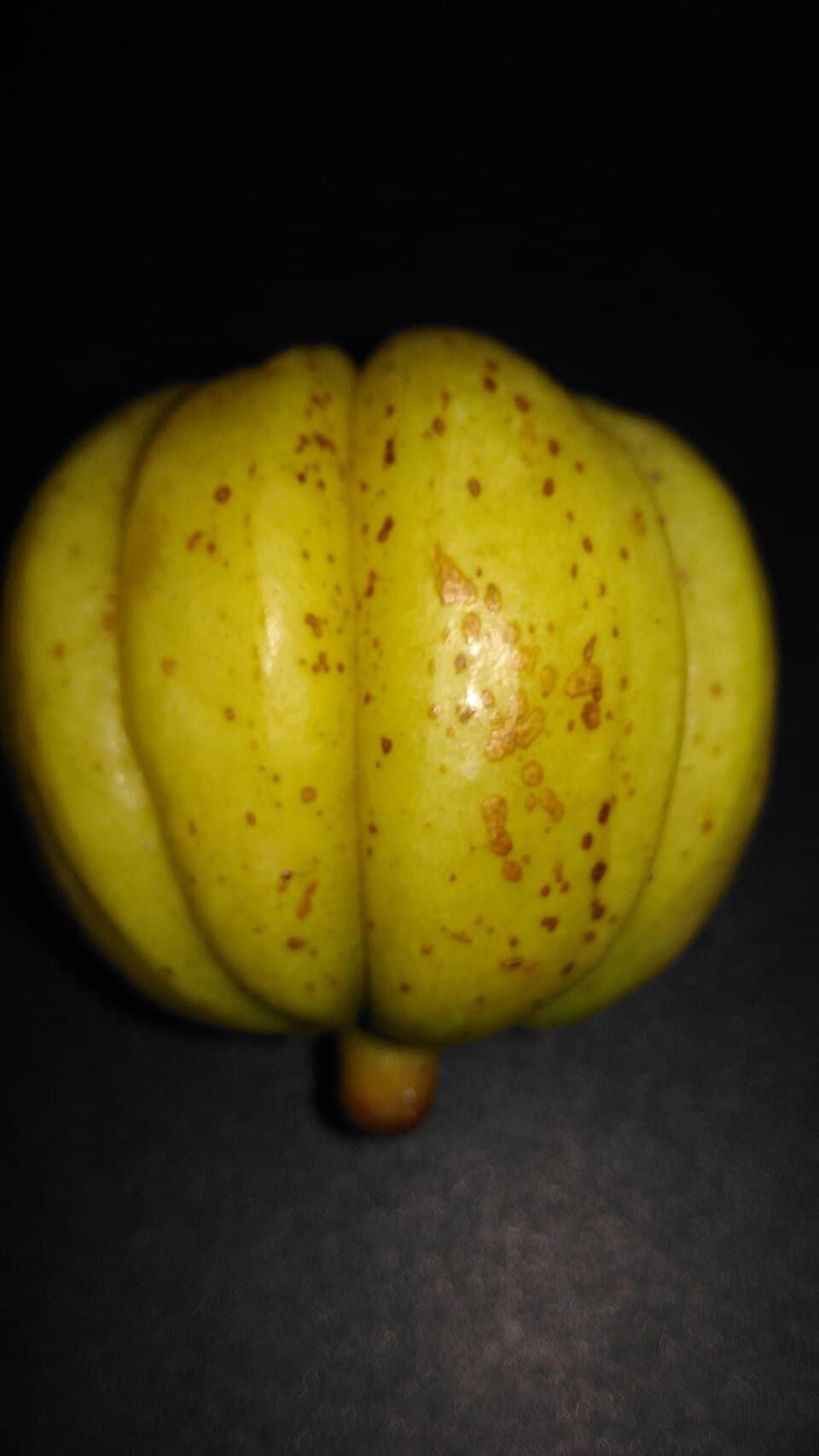 Garcinia Cambogia (60% HCA)