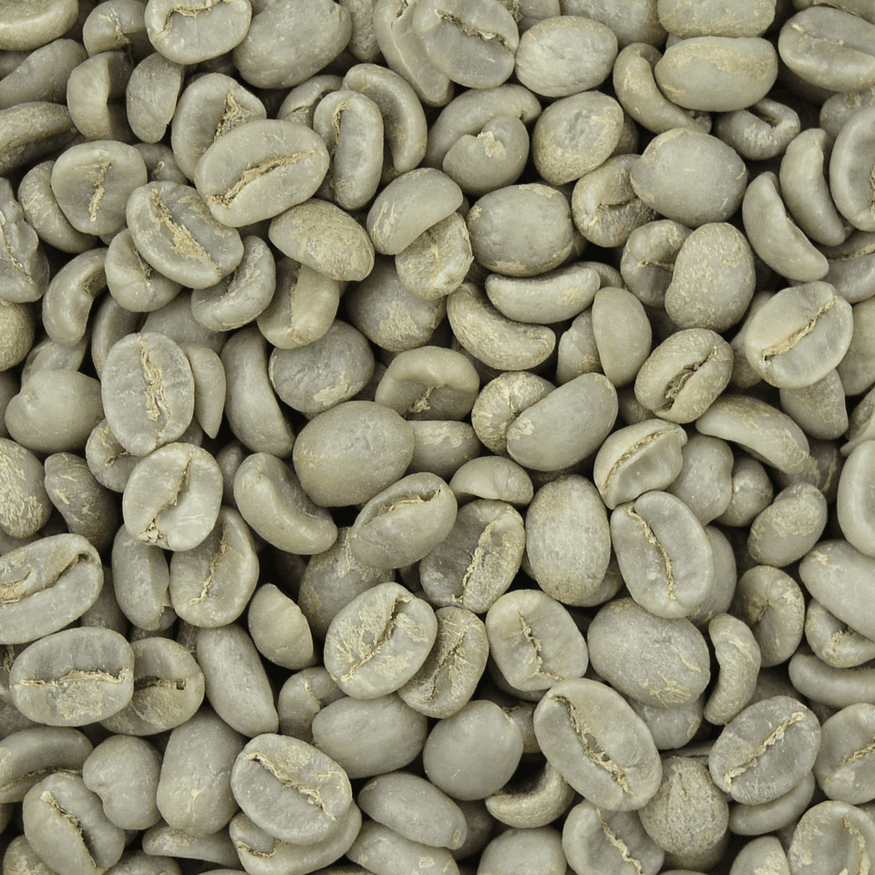 Green Coffee Extract (50% CGA)