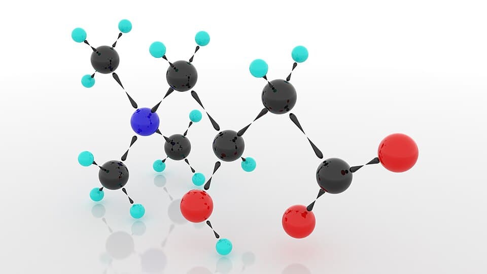 L-Carnitine Tartrate